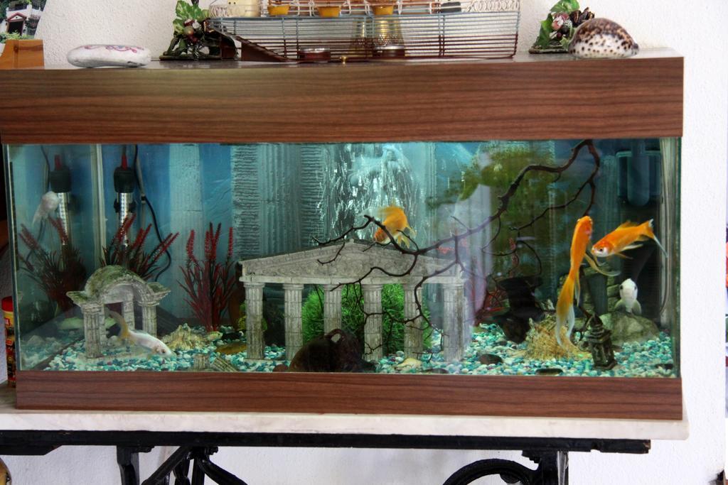Hotel Mary Marathokampos Luaran gambar